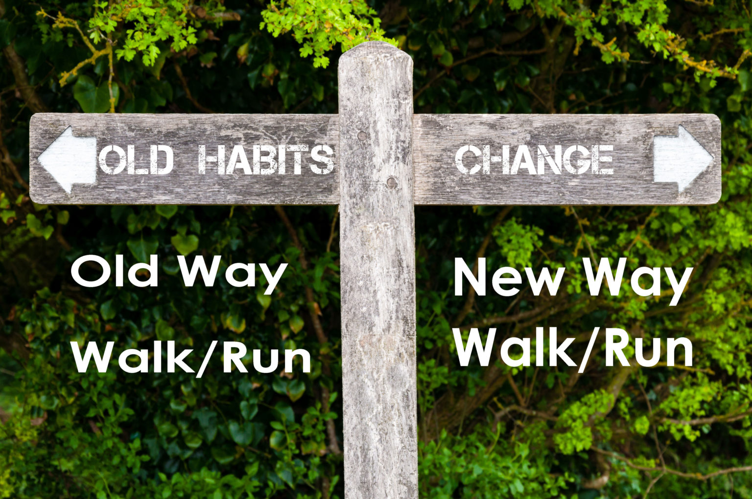 Whole vs part method of learning to walk/run a new way: deviant to less ...