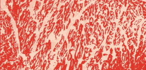 beef fat marbling