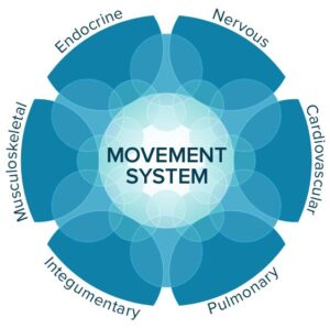 Venn diagram of movement system with physiological systems